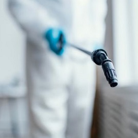 Fogging Services Image