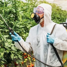 General Pest Control Image